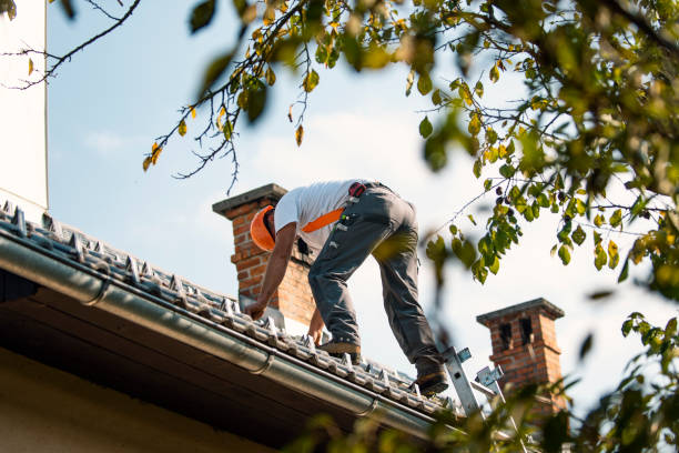 Quick and Trustworthy Emergency Roof Repair Services in Lake Los Angeles, CA